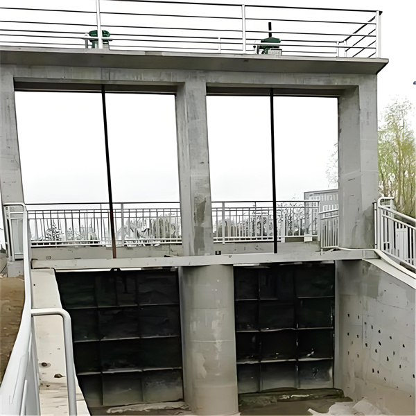 水利防洪91视频IOS下载分類與選型